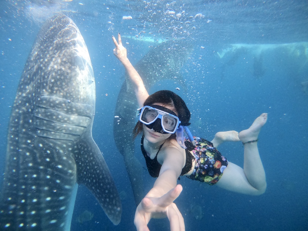 沖縄 ジンベイザメ と 泳ぐ