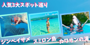 ジンベイザメツアー