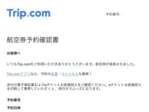 航空券（Eチケット）