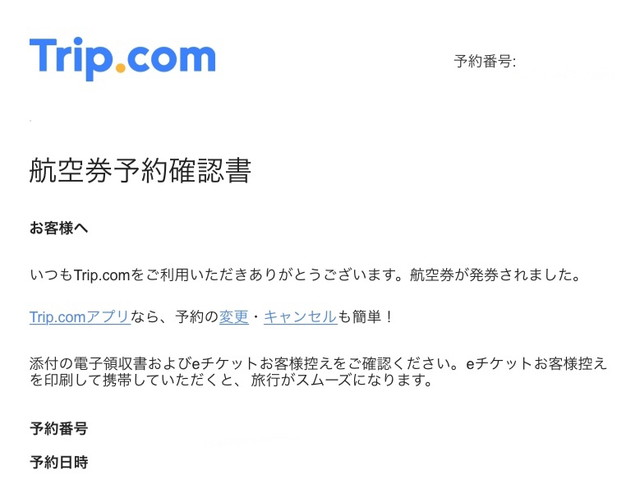 航空券(Eチケット)